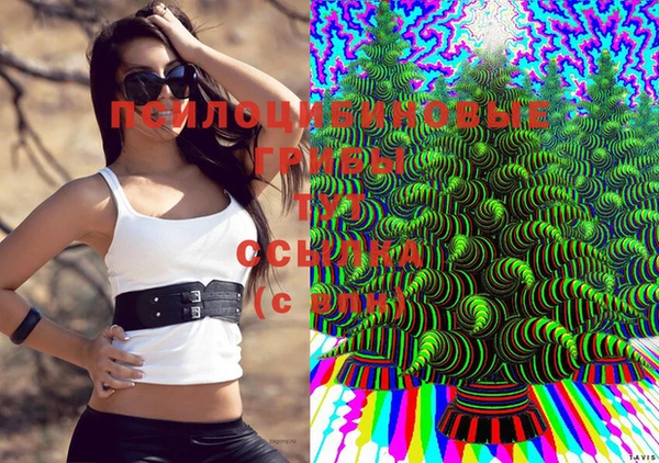прущие крисы Алексин